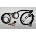 E4OD/4R100 Transmission Harness