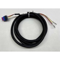 Stepper IAC Harness Stepper IAC Harness