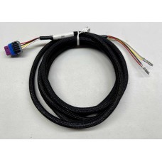 Stepper IAC Harness